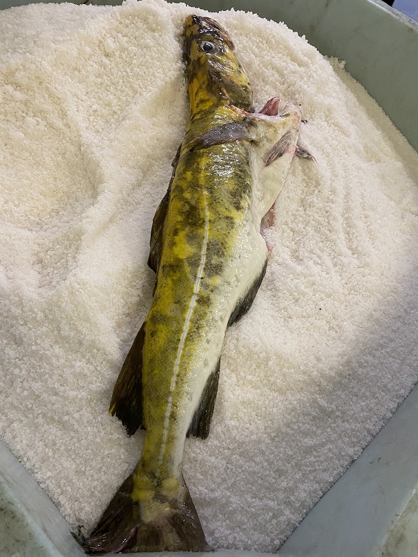 3 Aca919cc 2846 43E5 A8ce Ade8654a0145