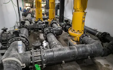 PXL 20251023 084031443