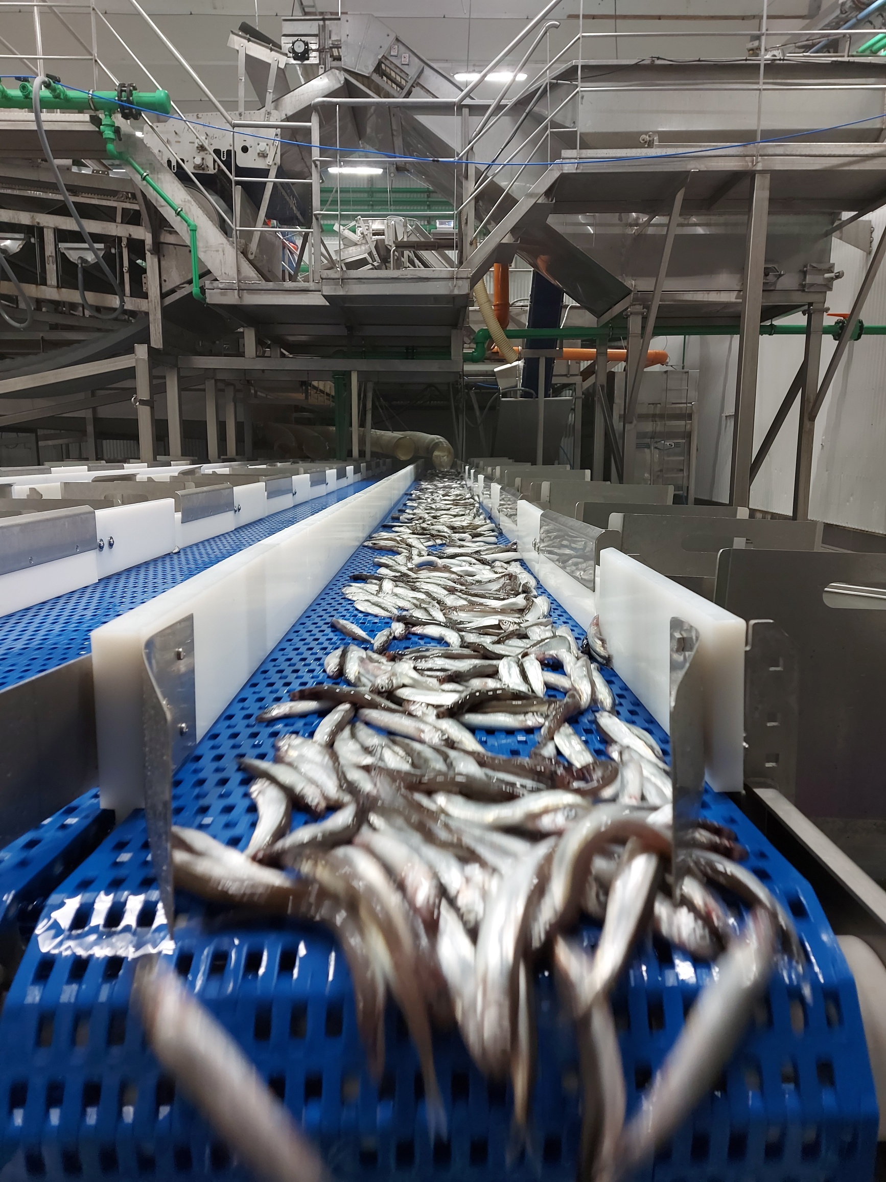 2 20210216 114656 Resized