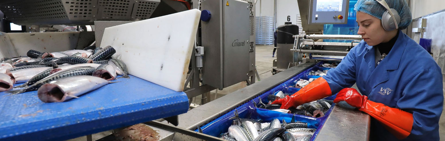 Screenshot 2023 08 30 At 1Lodna541