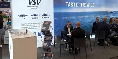 Boston Basinn 485489247 515164151397771 7988324242218822996 N