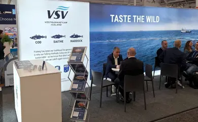 Boston Basinn 485489247 515164151397771 7988324242218822996 N