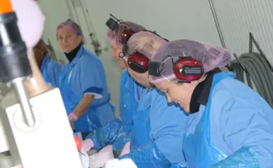 Fiskvinnsla IMG 8036